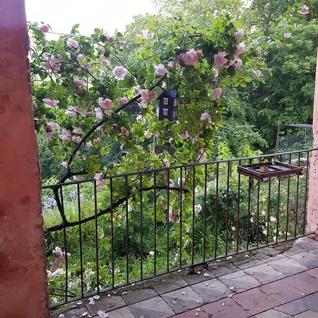 Appartamento Nel Verde Mosso Santa Maria Buitenkant foto