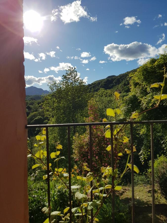 Appartamento Nel Verde Mosso Santa Maria Buitenkant foto