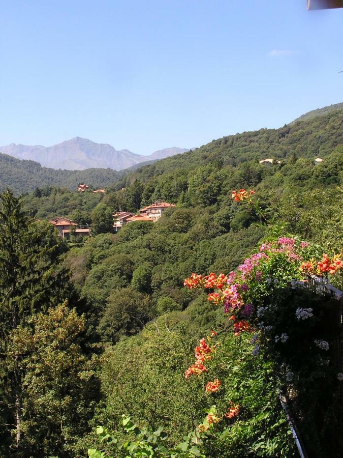 Appartamento Nel Verde Mosso Santa Maria Buitenkant foto